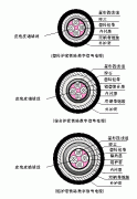 機(jī)車數(shù)字信號(hào)線鐵路數(shù)字信號(hào)電纜